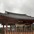 삼성궁 | 하동 삼성궁 주말 후기 +가격,주차장 꿀팁(빨리 들어가는 법)