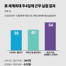 일일주