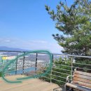 팔공산녹색길 숲길 3코스 | 대구앞산자락길 고산골 토굴암 소나무숲길 확 트인 용두토성 전망대에서 내려다보이는 수성못전경 대구...