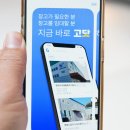핌주