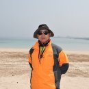 아일랜드 이미지