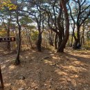 신어산 산림욕장 이미지