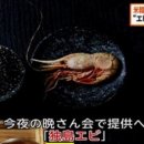 꼬장 이미지
