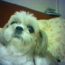 도곡초등학교 이미지