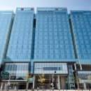 스테이 상무 이미지