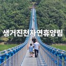 생거진천자연휴양림 | 생거진천자연휴양림, 농다리와 미르309까지 리얼후기