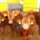 정우성농장 이미지