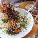 꿀참나무 이미지