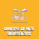 [테리빕] 아비앙또 마 체리 웨이브 테리빕, 물결빕 5종 내돈내산 후기