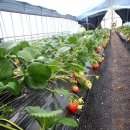 냉산쉼터 이미지