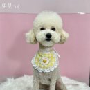 메디유약국 이미지