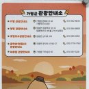 자라섬관광안내소 이미지