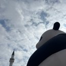 요기나라판다 이미지