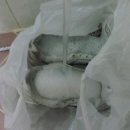 깨끗한운동화 이미지