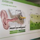 주안보청기 | 인천주안보청기, 도화·숭의동 고객 상담 사례로 보는 선택 기준