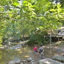 호명산캠프 이미지