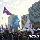 진화 묘 이미지