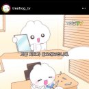 정애농장 | 타타타 플리마켓 워터코인 수경재배 꽃 일본 대구
