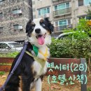 조이 | 미니오시 조이의 호텔링 후기