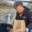 홍이농장 이미지