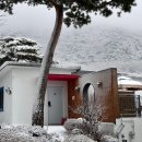 비버리힐즈펜션1 이미지