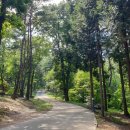 무궁화어린이공원 수 이미지