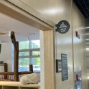 중원청소년수련관(실외 야외농구장) | 분당/ 성남 아이랑 가볼만한 아이사랑놀이터 : 센터본점 햇살가득놀이터 25개월 아기랑🐰