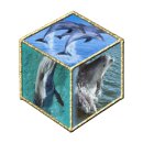 웅산초등학교 이미지