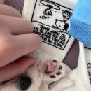 은병원 이미지