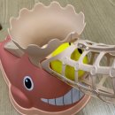 아빠와 고래 | 유아 크리스마스선물 추천 고래 팝업 야구 배팅 놀이 후기