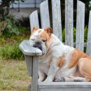 신진수퍼 이미지