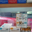 도안 ECO 종합동물병원 이미지