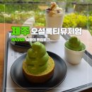 딸기아트어린이집 | 제주 오설록 티뮤지엄 카페 | 메뉴 B세트 기념품 녹차밭 내돈내산 후기