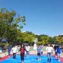 용인대 준 태권도 이미지