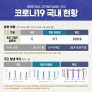 코로나19 국내 (현황 7월 11일) 이미지