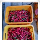 입맛을 살리는 밑반찬 요리 이미지