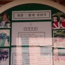 구미천사유치원 이미지
