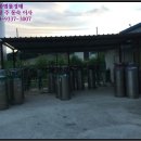 북면주유소 이미지