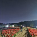 문암 | 청주 아이와 가볼만한 곳｜ 문암생태공원 대형놀이터 후기 (feat.튤립)