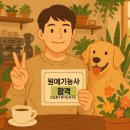 원예기능사 | 원예기능사 최종 합격후기! 공부 방법, 준비 기간, 필기/실기 기출문제 복구