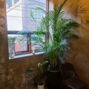 시리베이커리 이미지