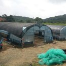 민환농장 이미지