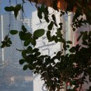 운곡한의원 이미지