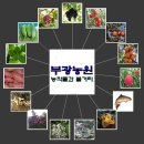 부광농장 이미지