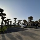 곽지몬스터캠핑 이미지