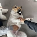 루이야 놀고 자고 GO 이미지