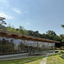 시냇가 푸른나무 유치원 | 안산 숲속뷰 감성카페 워크 안산에서 주말 힐링