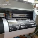 아송헤어 이미지