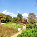 다산생태공원 이미지