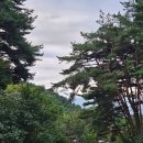 대봉산자연휴양림 | 경남 함양 숙소 대봉산자연휴양림 휴양관 101호 5인실 후기